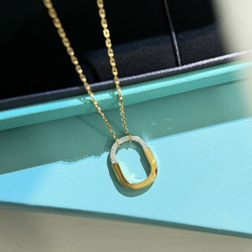 Tiffany Mini U-förmige Schloss halber Diamant zweifarbige Halskette-3962