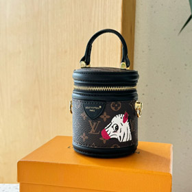 Louis Vuitton LV Mini Fortune Eimer Crossbody Tasche-4069