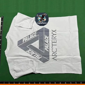 Arcteryx PALACE Gelenkserie gedrucktes retro kurzärmeliges T-Shirt (25 Stile) -2753